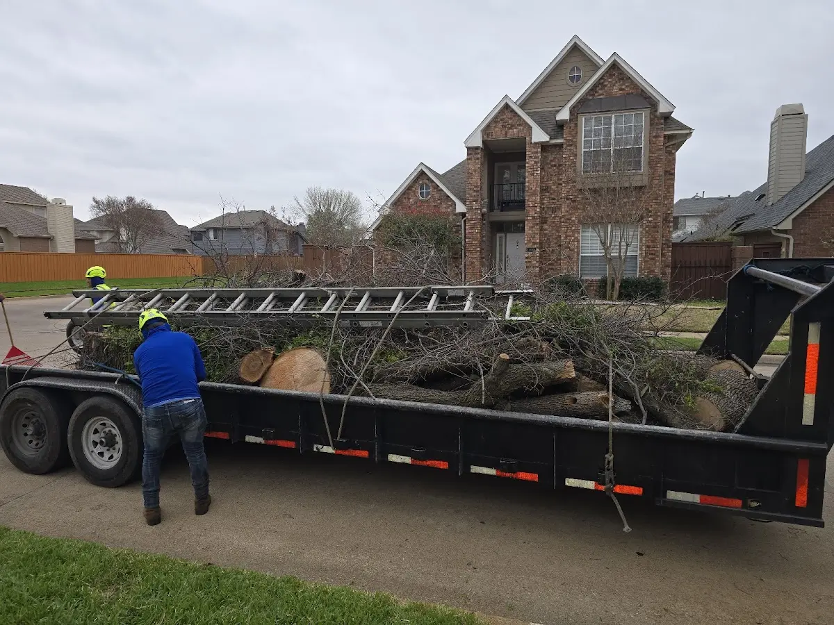 Expert Crown Reduction with proper safety equipment in Menomonee Falls